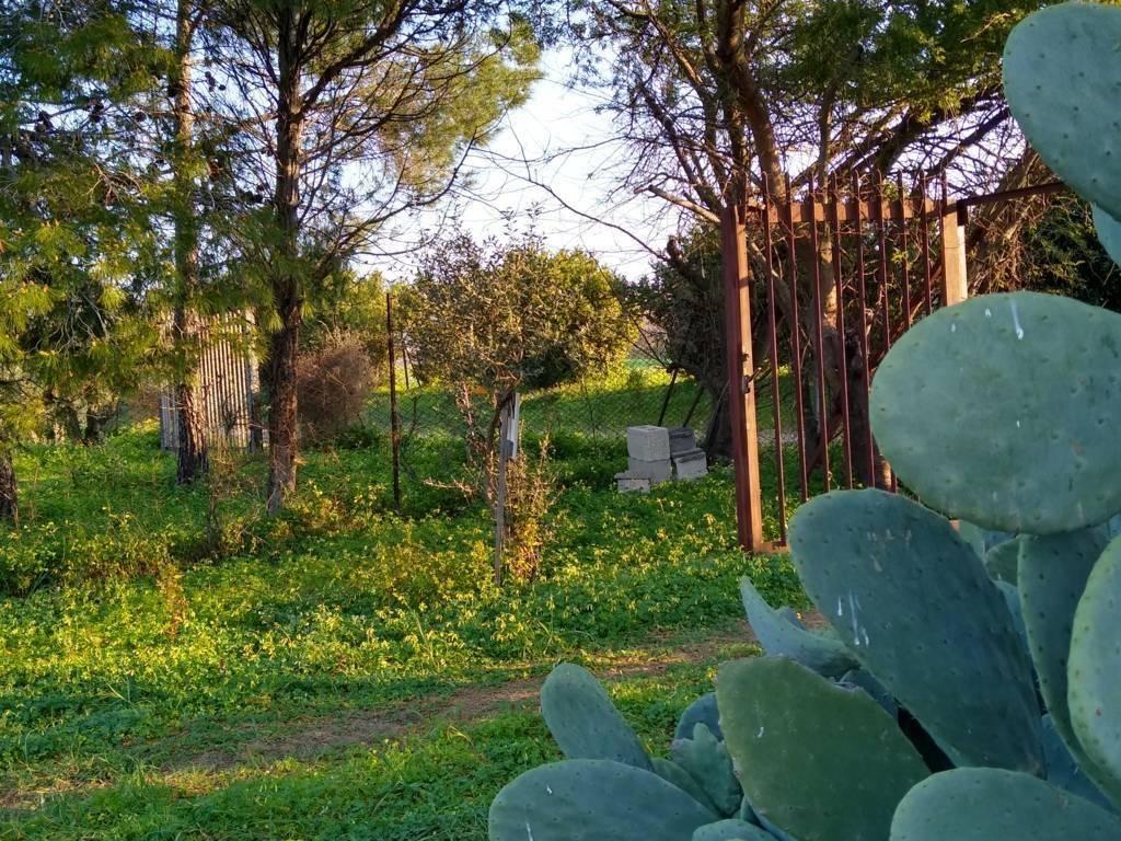 Terreno a Sestu in Località Pintoreddu - Foto 5