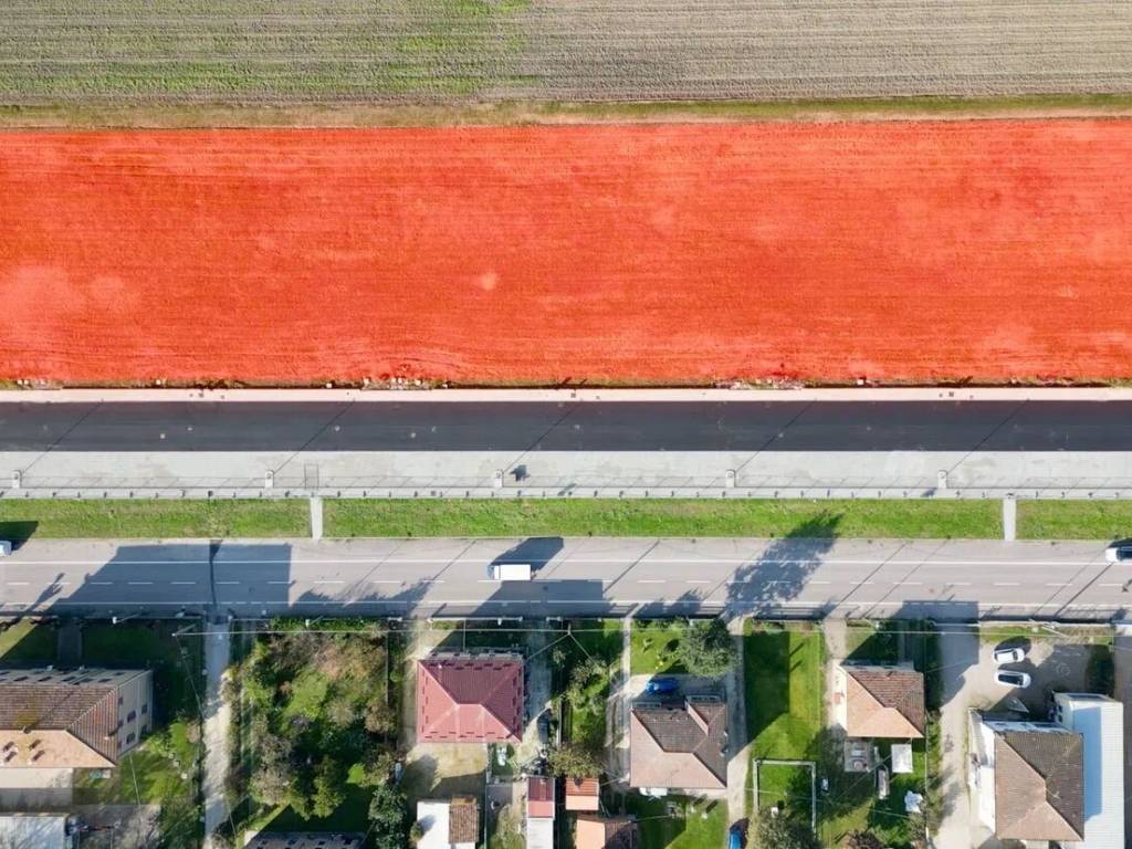 Terreno a Poggio renatico in Via Scorsuro S.N.C. - Foto 3