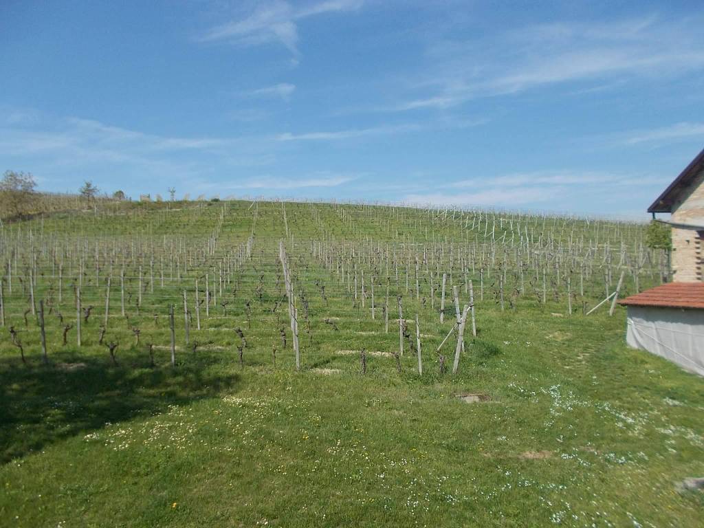 Terreno a Agliano terme - Foto 3