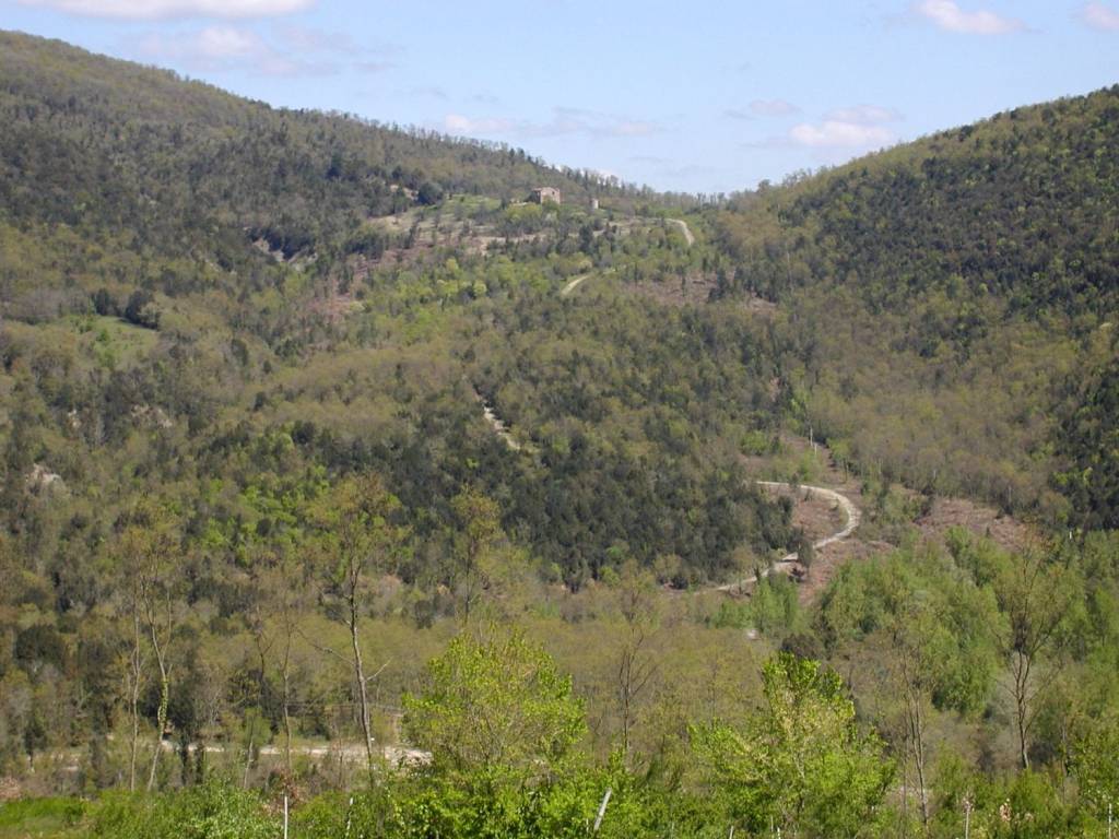 Terreno a Ficulle in Strada Poggi - Foto 5