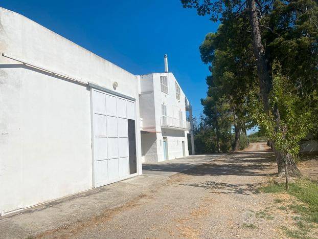 Villa a Bernalda in Strada Provinciale Bernalda - Metaponto, 75012 Bernalda Mt, Italia - Foto 4