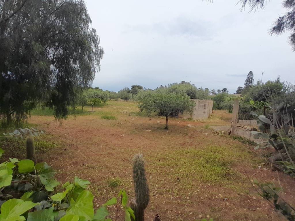 Terreno a Cinisi in Via Aldo Moro - Foto 3