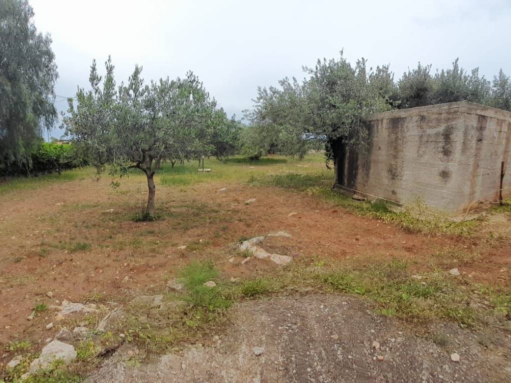 Terreno a Cinisi in Via Aldo Moro - Foto 4