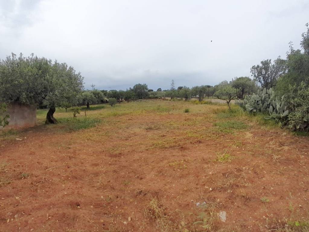 Terreno a Cinisi in Via Aldo Moro - Foto 5