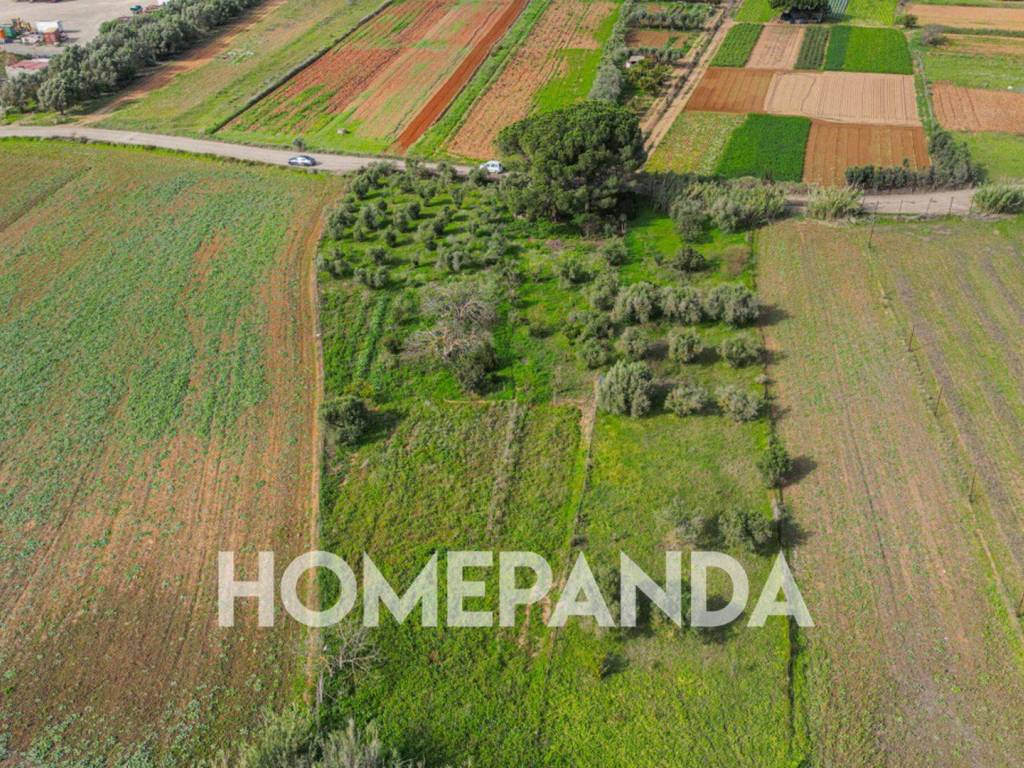 Terreno a Sestu - Foto 2