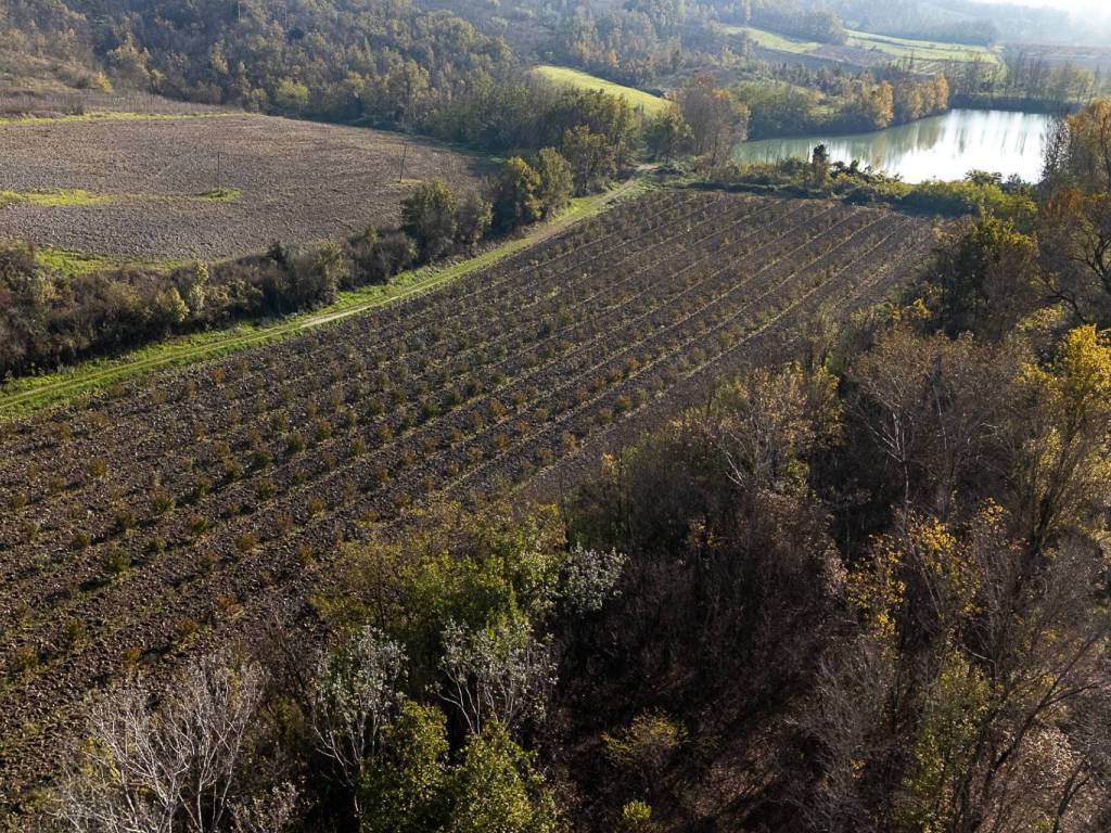 Villa a Volpedo in Strada Clementina - Foto 5
