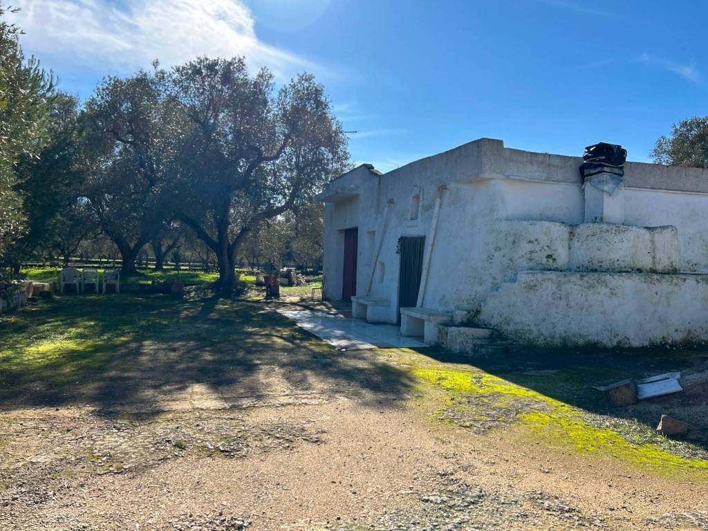Rustico / casale a Grottaglie - Foto 2