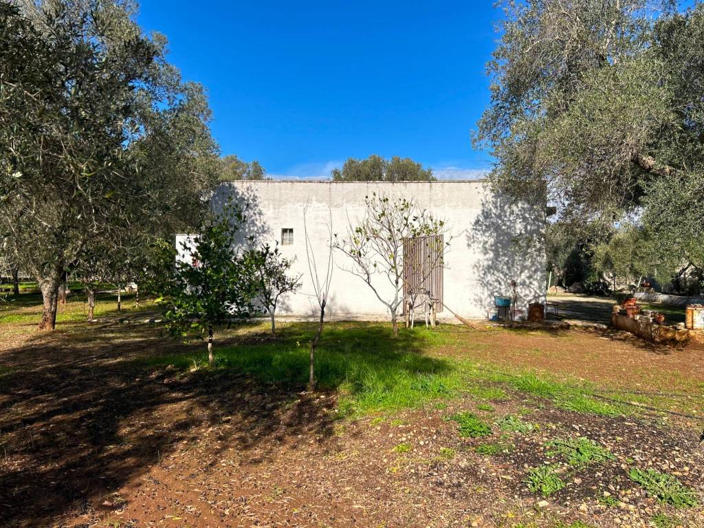 Rustico / casale a Grottaglie - Foto 4