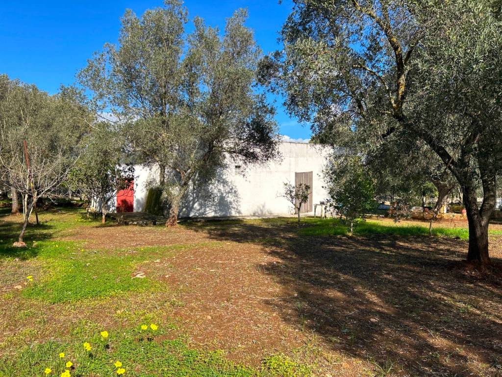 Rustico / casale a Grottaglie - Foto 5