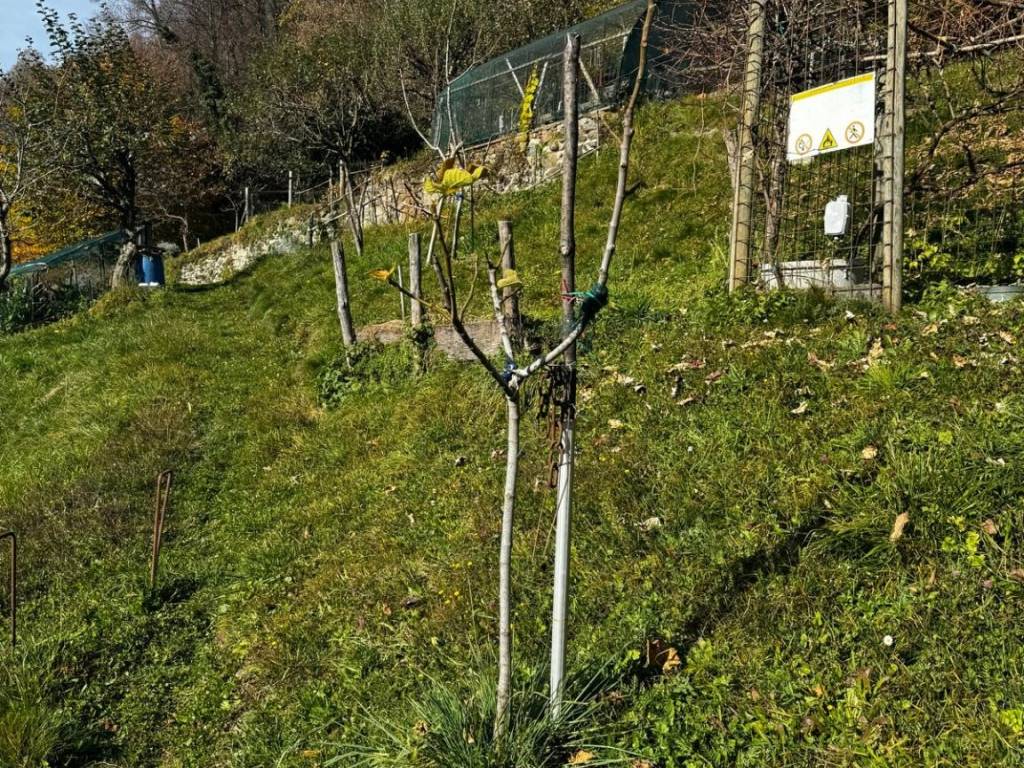 Rustico / casale a Bellano in Strada Provinciale di Vendrogno - Foto 2