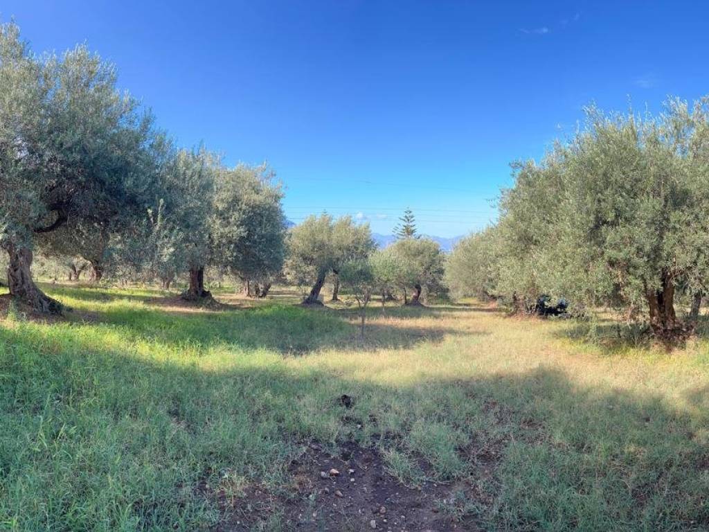 Terreno a Campofelice di roccella in Contrada Roselle - Foto 2