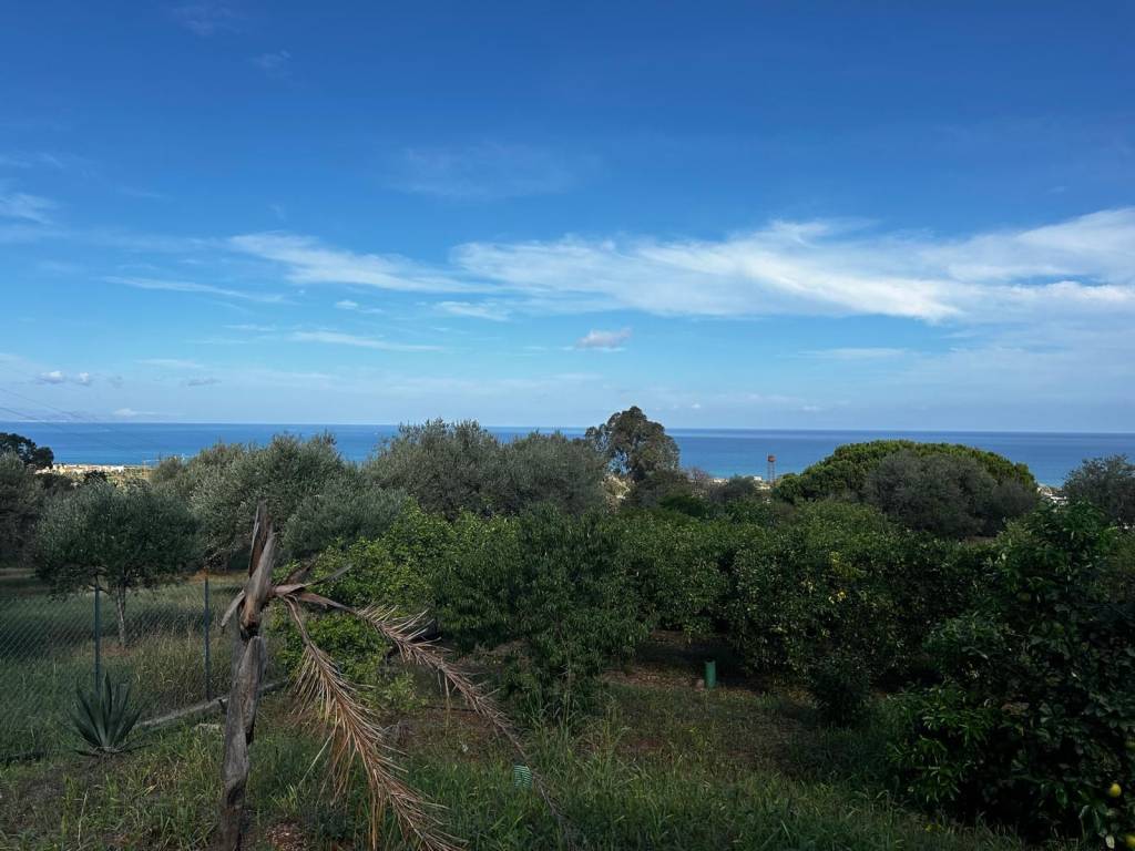 Terreno a Campofelice di roccella in Contrada Roselle - Foto 4