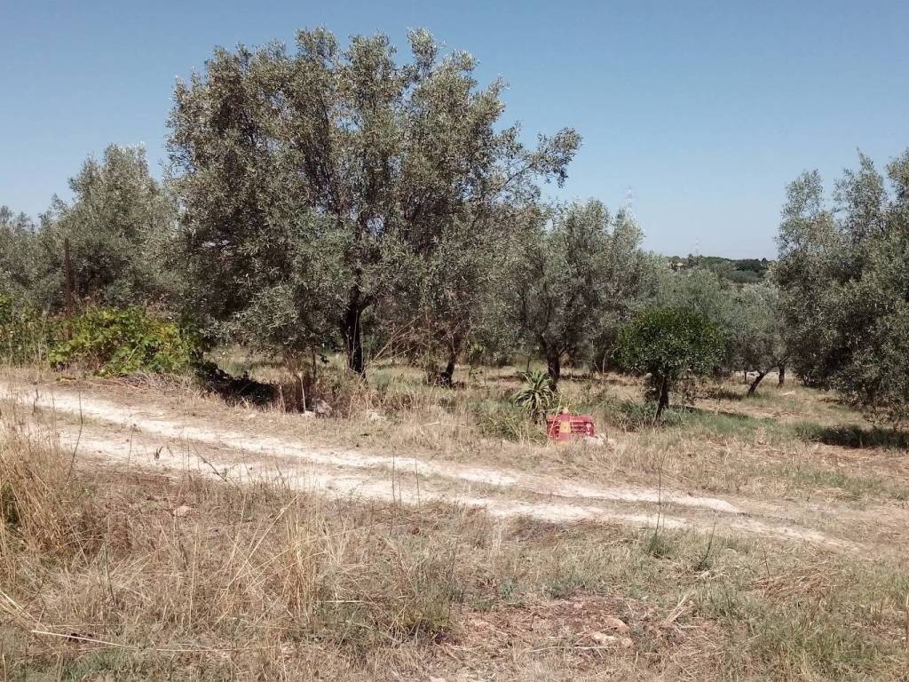 Villa a Melilli - Foto 3