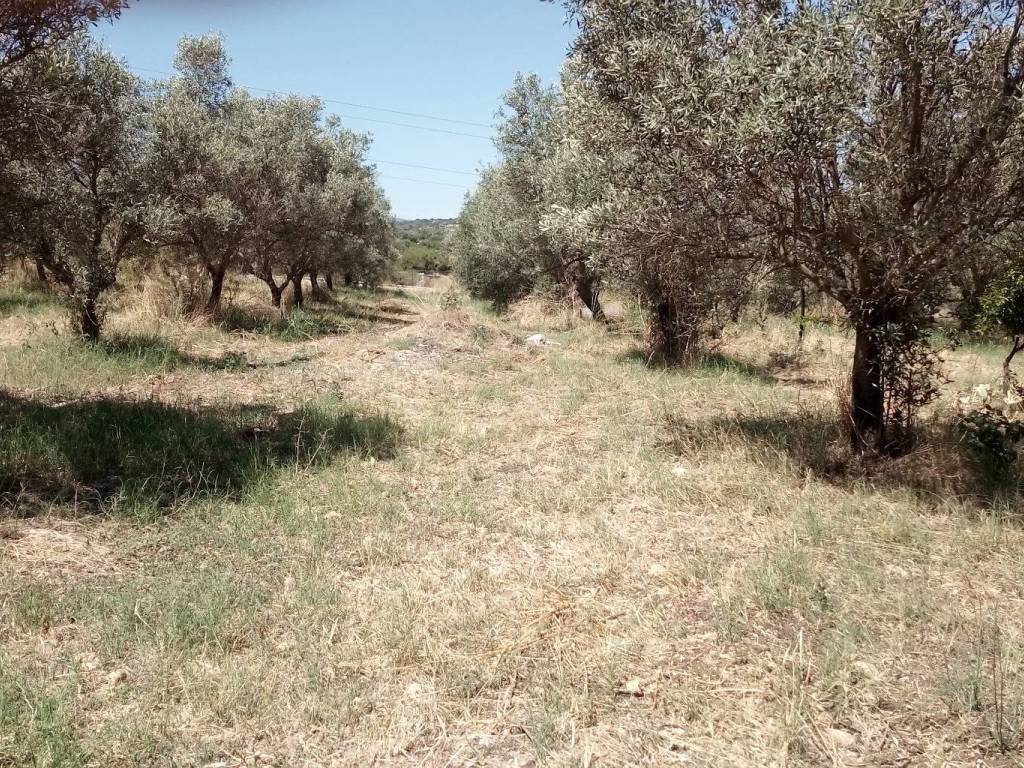 Villa a Melilli - Foto 5