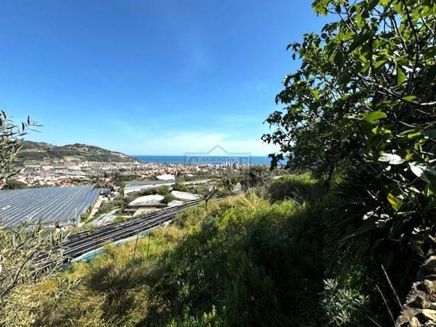 Terreno a Taggia in Via Beglini - Foto 3