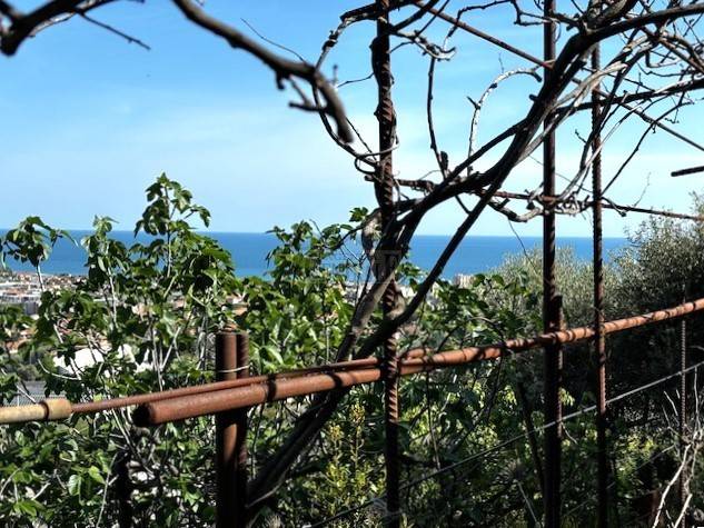 Terreno a Taggia in Via Beglini - Foto 4
