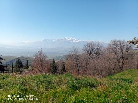 Rustico / casale a Castel frentano in Via Morge - Foto 3