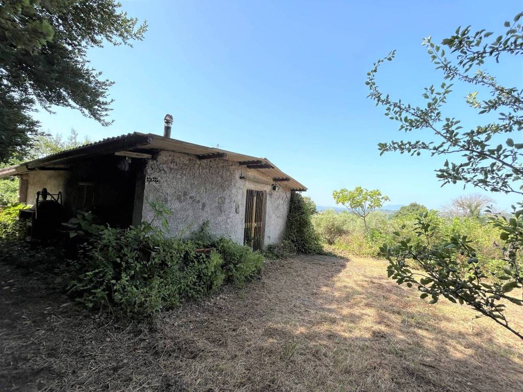 Villa a Poggio catino in Capriglia - Foto 2