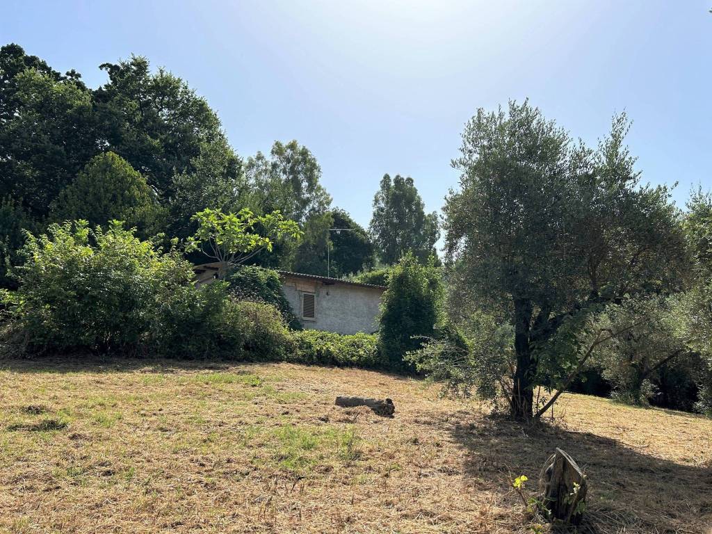 Villa a Poggio catino in Capriglia - Foto 4