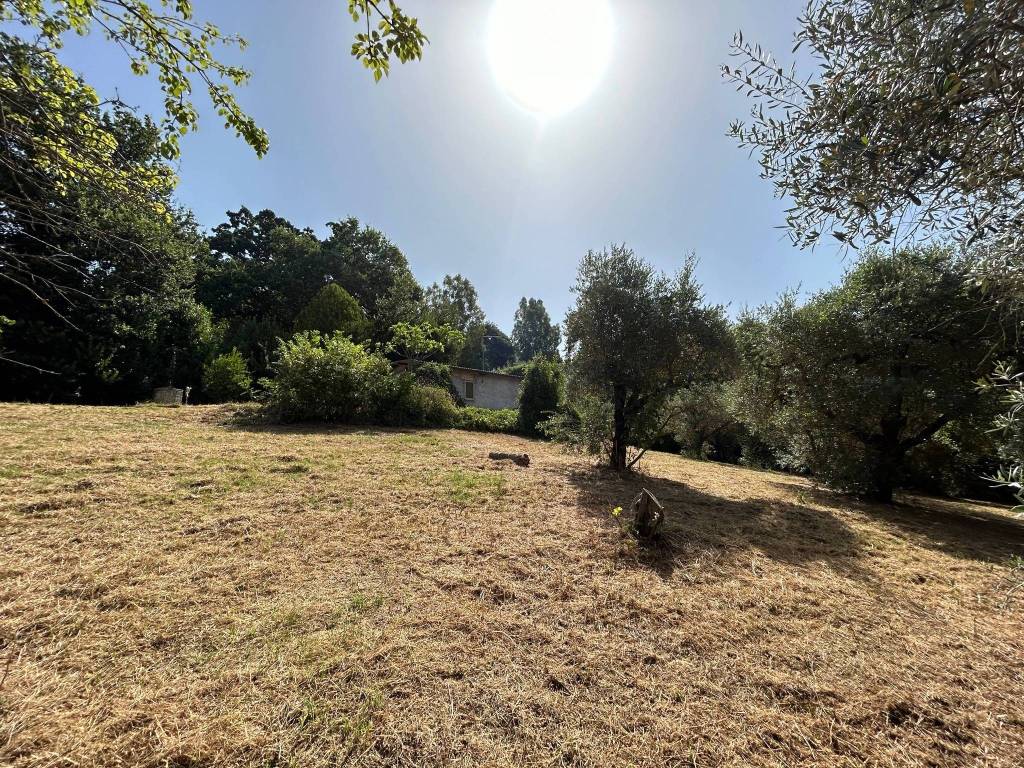 Villa a Poggio catino in Capriglia - Foto 5