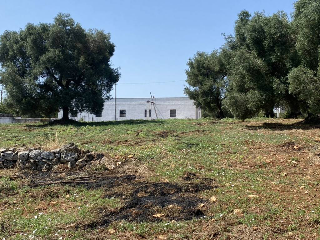 Rustico / casale a Ceglie messapica in contrada circiello - Foto 5