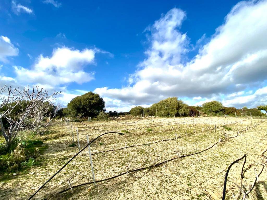 Terreno a Maracalagonis in Località Cireddu - Foto 4