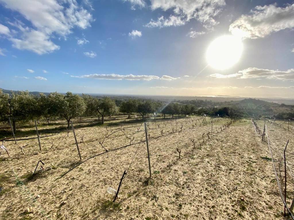 Terreno a Maracalagonis in Località Cireddu - Foto 5