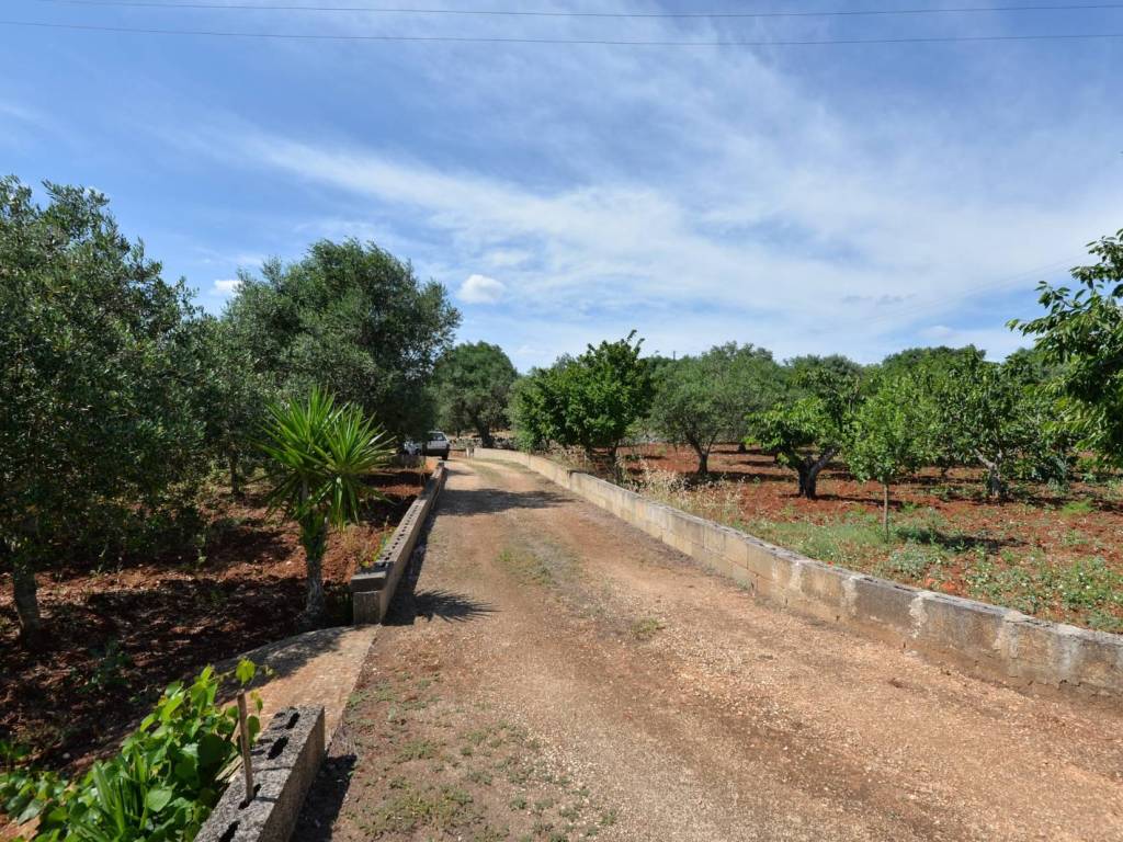Villa a Ostuni in C.da Martucci - Foto 3