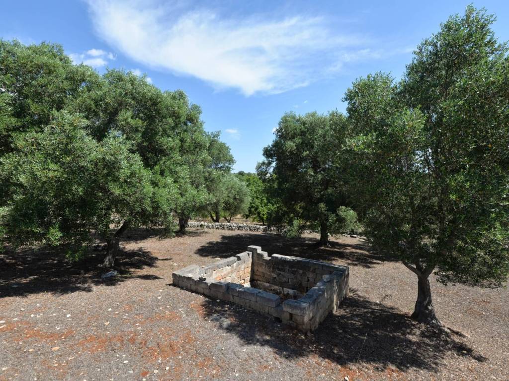 Villa a Ostuni in C.da Martucci - Foto 5