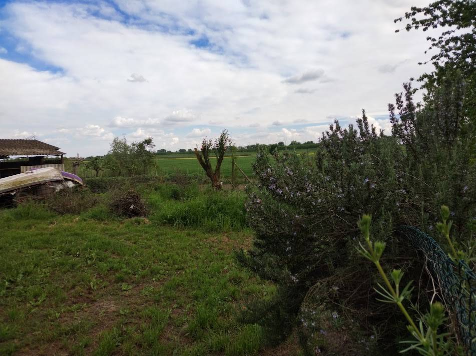 Rustico / casale a Stienta in Via Guratti, 498 - Foto 5