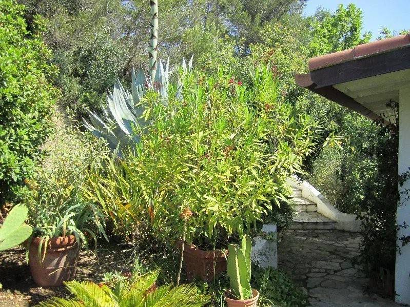 Villa a Perinaldo - Foto 2