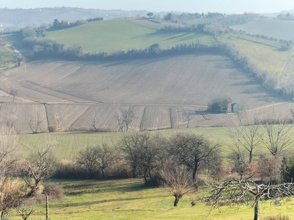 Terreno a Chiaravalle in Via Grancetta - Foto 2