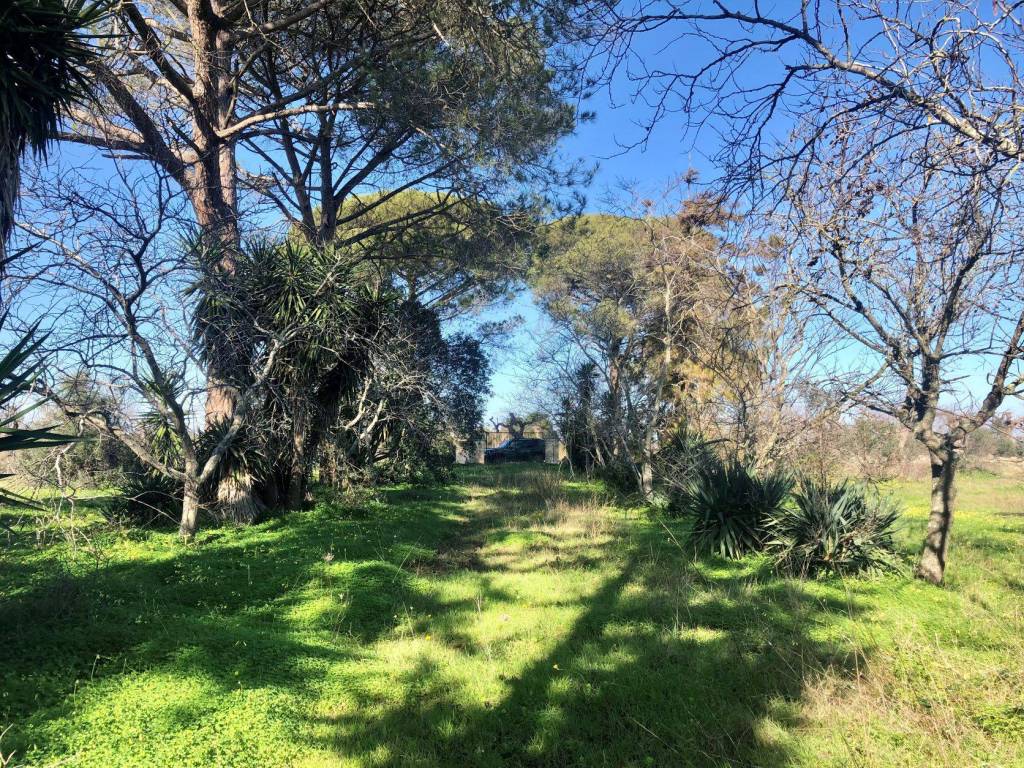 Villa a Galatina - Foto 4