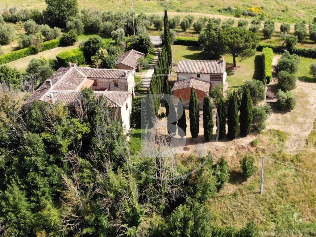 Rustico / casale a Castelnuovo berardenga in Strada Statale del Castello di Brolio - Foto 3