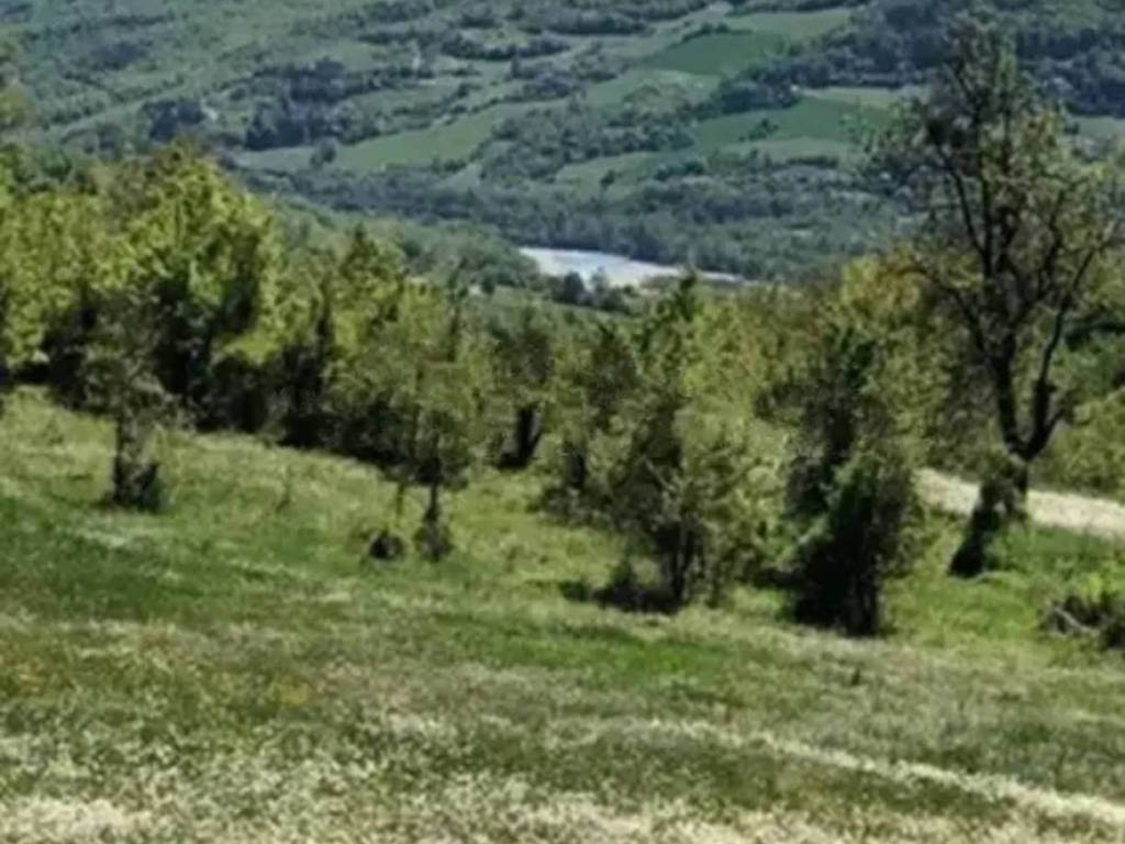 Rustico / casale a Bobbio in Località Levratti - Foto 3