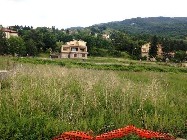 Terreno a Carpegna - Foto 4