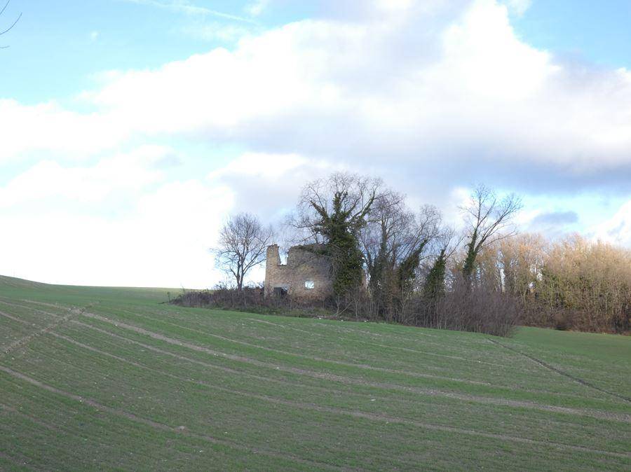 Rustico / casale a Fermignano - Foto 2