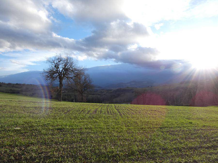 Rustico / casale a Fermignano - Foto 3
