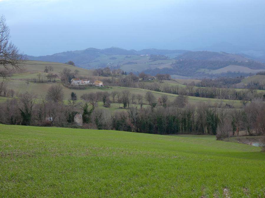 Rustico / casale a Fermignano - Foto 4