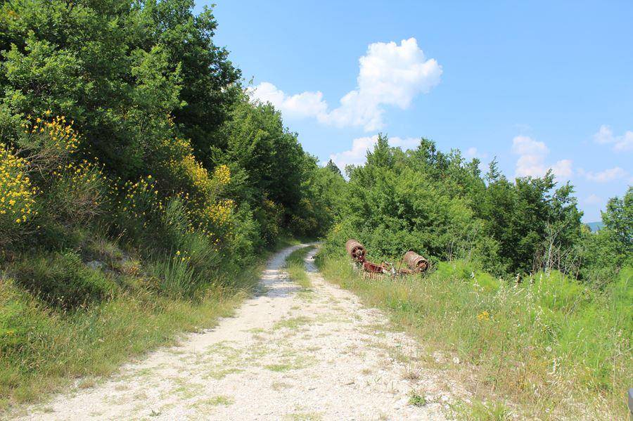 Terreno a Cagli - Foto 3