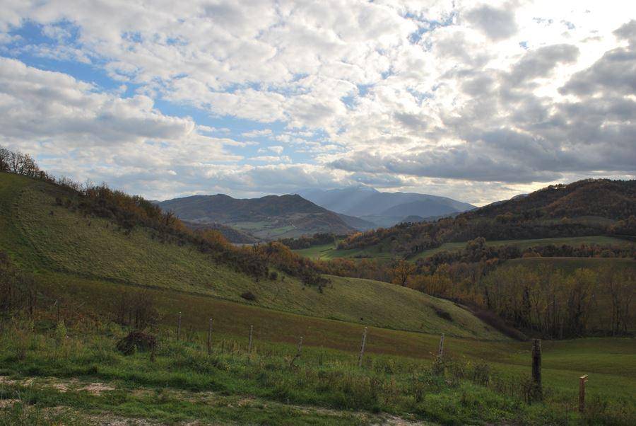 Rustico / casale a Acqualagna - Foto 5