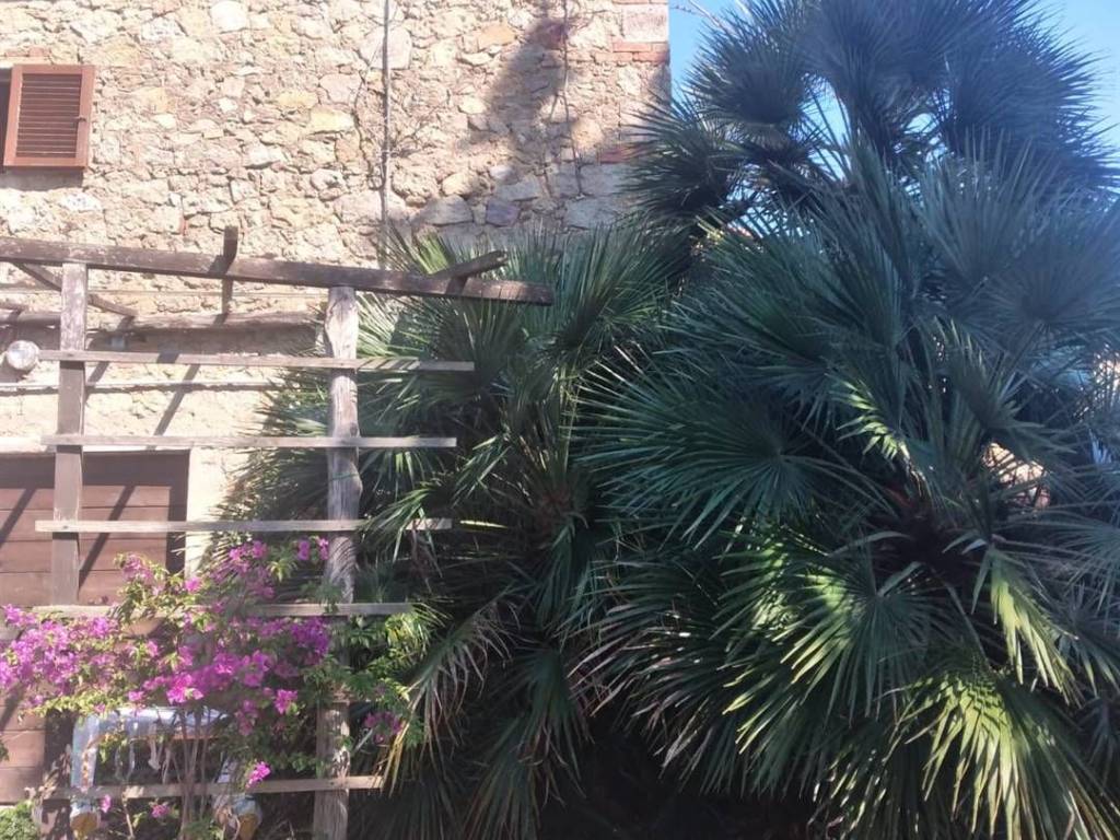 Rustico / casale a Roccastrada - Foto 5