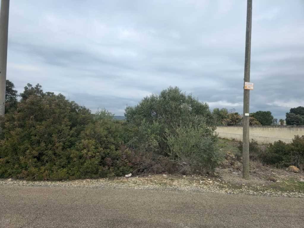 Terreno a Grottaglie in Contrada Mannara - Foto 3