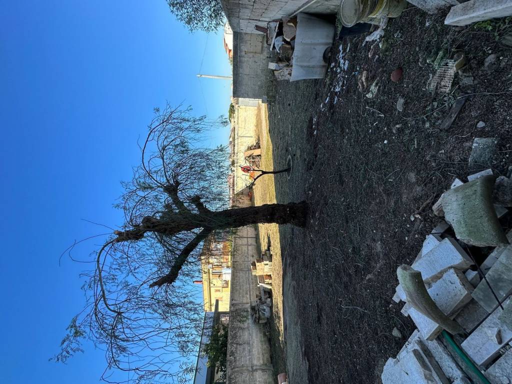 Immobile a Lizzano in Via Mazzola s.n.c - Foto 4