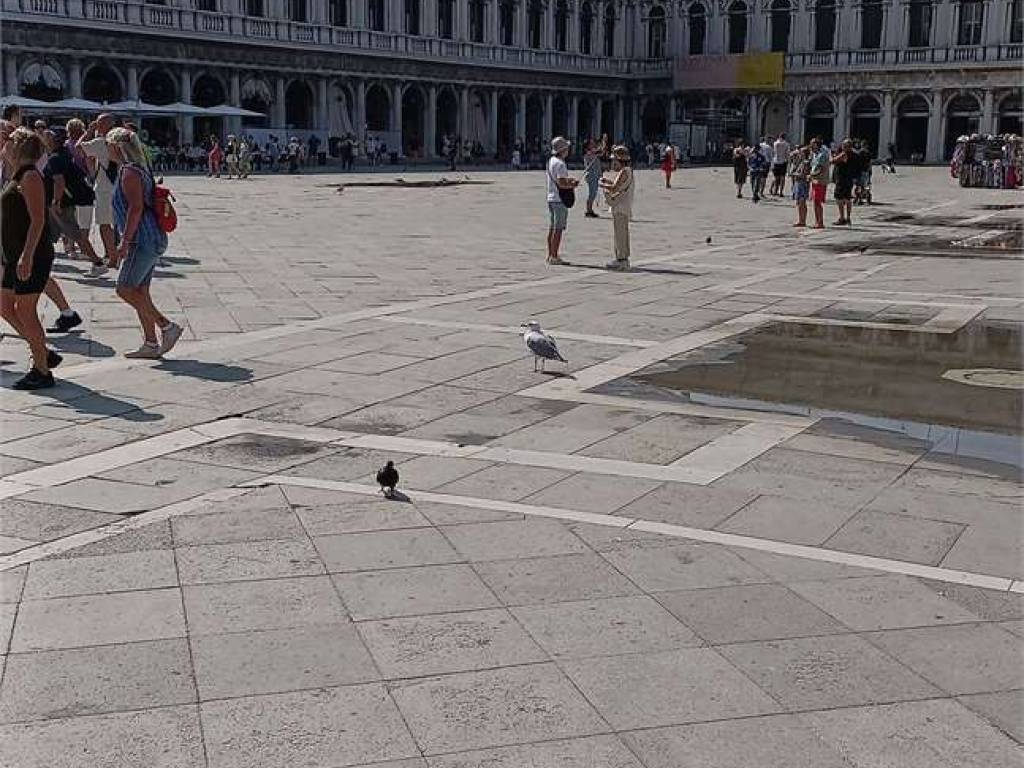 Palazzo / stabile a Venezia in Mercerie dell' orologio - Foto 4