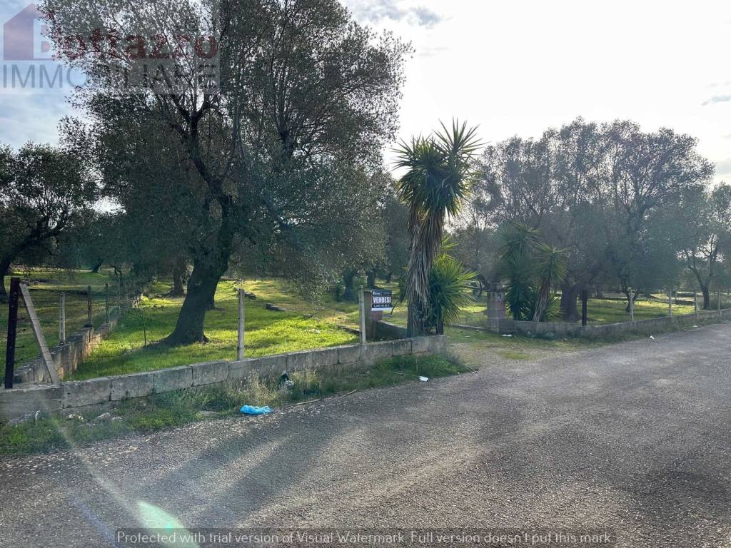 Terreno a Lizzano in Via Checca Mancini s.n.c - Foto 2