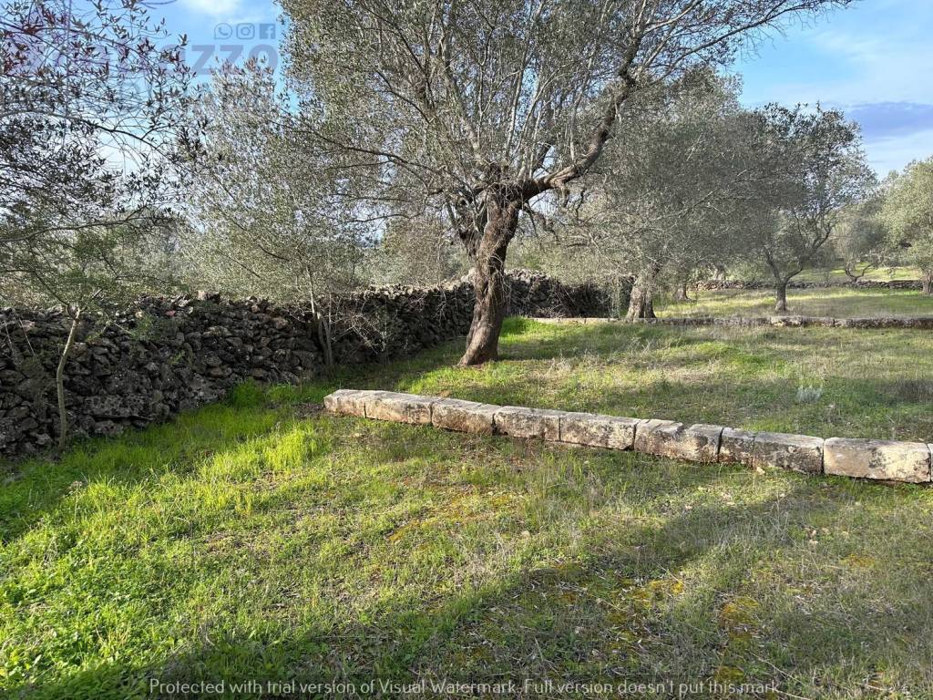 Terreno a Lizzano in Via Checca Mancini s.n.c - Foto 3