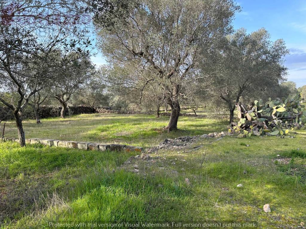 Terreno a Lizzano in Via Checca Mancini s.n.c - Foto 5