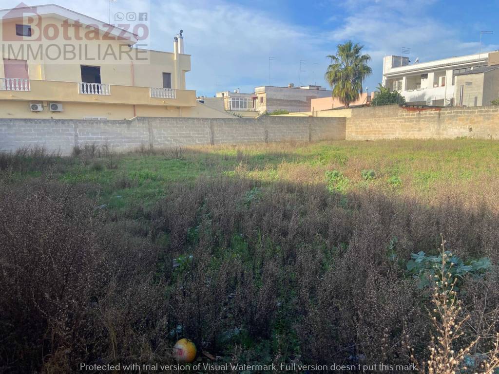 Terreno a Lizzano in Via Toscanini s.n.c - Foto 5