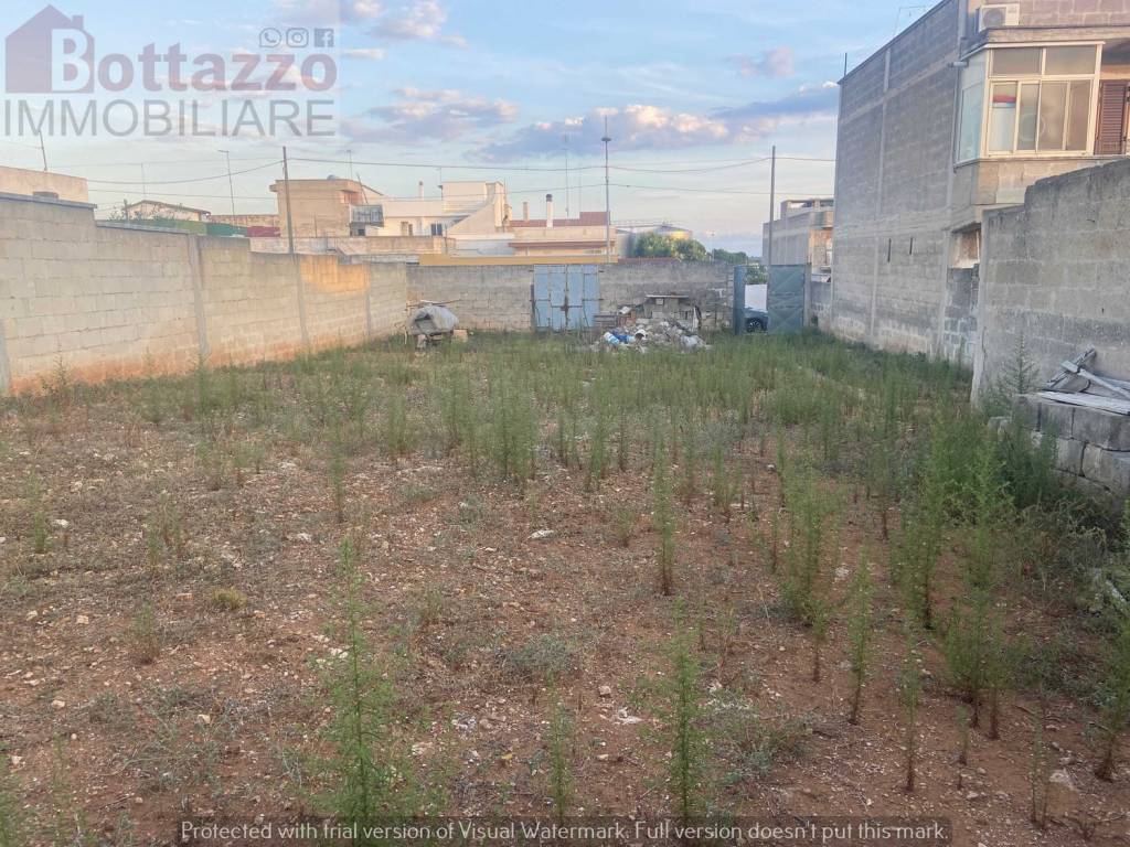 Terreno a Lizzano in Via toscanini s.n.c - Foto 4